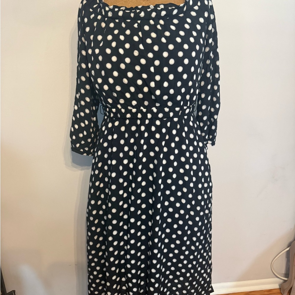 Anthropologie Blue and White Dolman Sleeve A-Line Dress